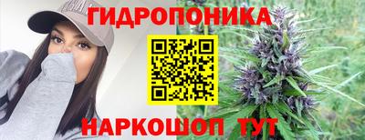 шишки Янаул