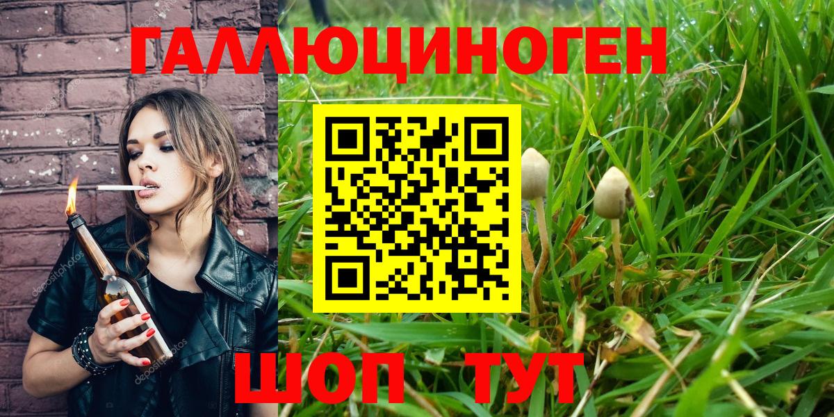 Галлюциногенные грибы GOLDEN TEACHER  Вход с VPN  Великие Луки 